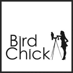 birdchick
